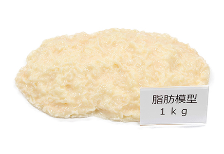 脂肪模型（1kg）