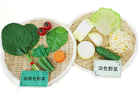 栄養指導用食品サンプル 野菜1日350gセット 磁石付き(Ｄセット)