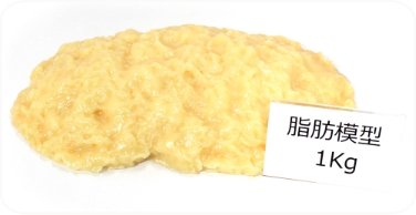 脂肪模型1kg（プレート付）